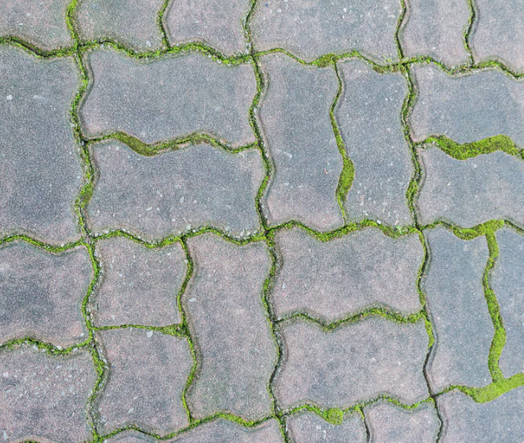 The Difference Between Baticlean CR & ECR