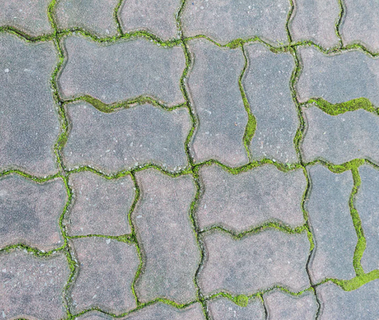 The Difference Between Baticlean CR & ECR