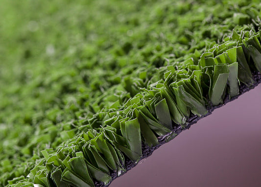 Moss on artificial grass and moss on artificial sports turf.
