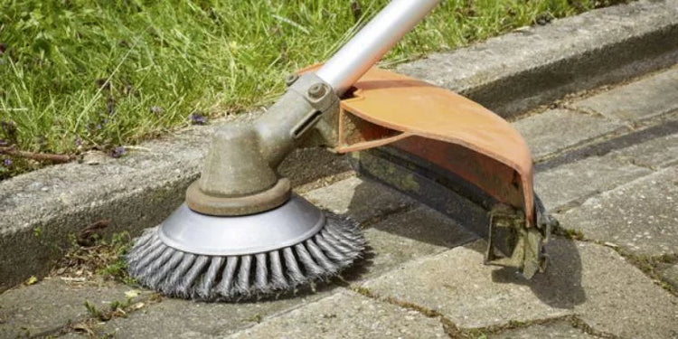Trimmer brushes