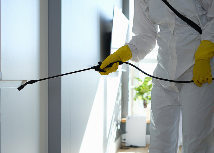 Cleaners and Disinfectants