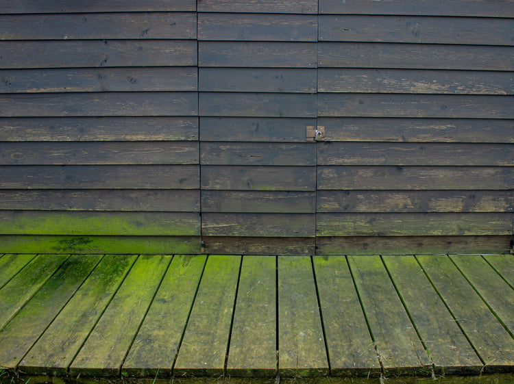 photo showing moss and greening on a wooden surface all of which can be cleaned by using baticlean cr