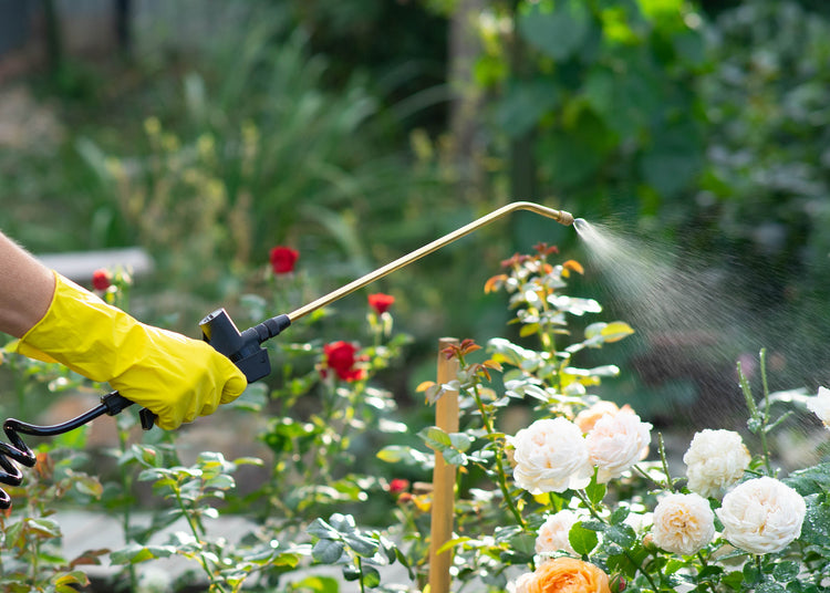 Sprayers