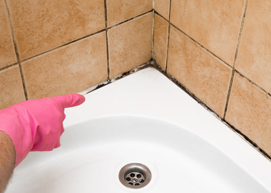 a photo of a sink and shower tray that can be cleaned with our Shine toilet cleaner