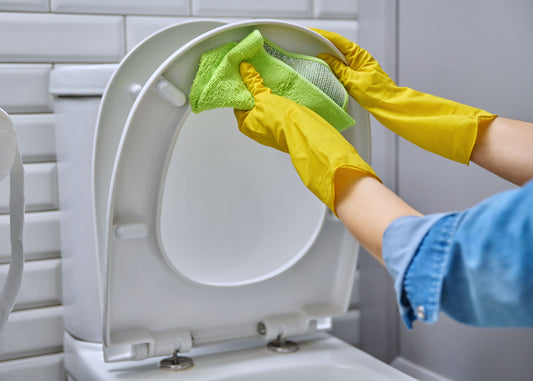 cleaning a toilet with our shine toilet and bathroom cleaner