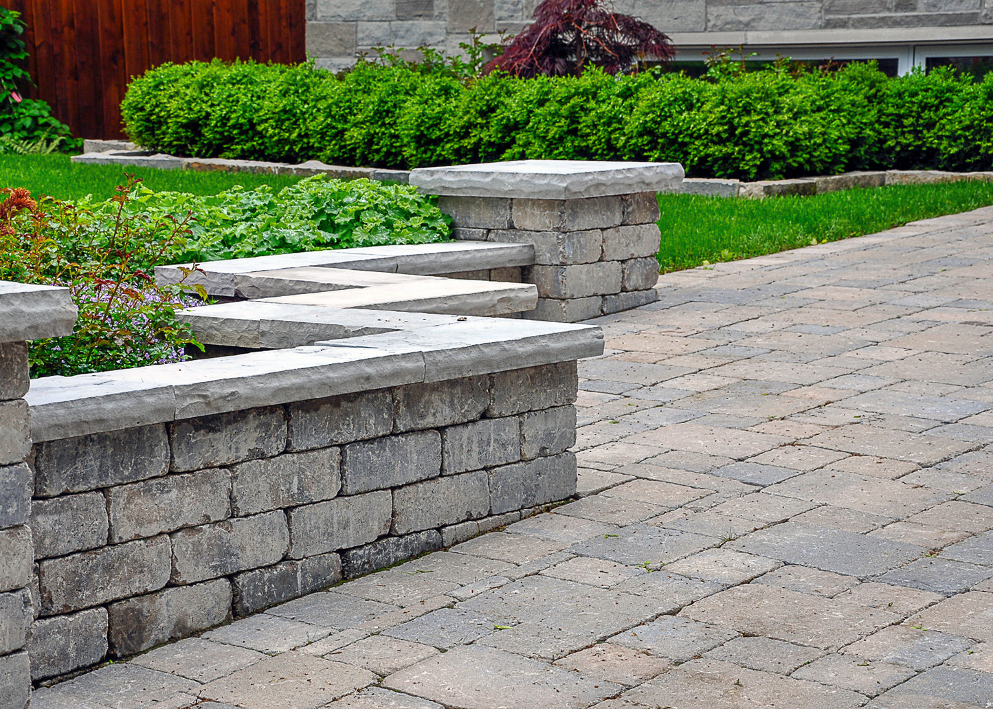 garden path and wall without moss, dirt or greening