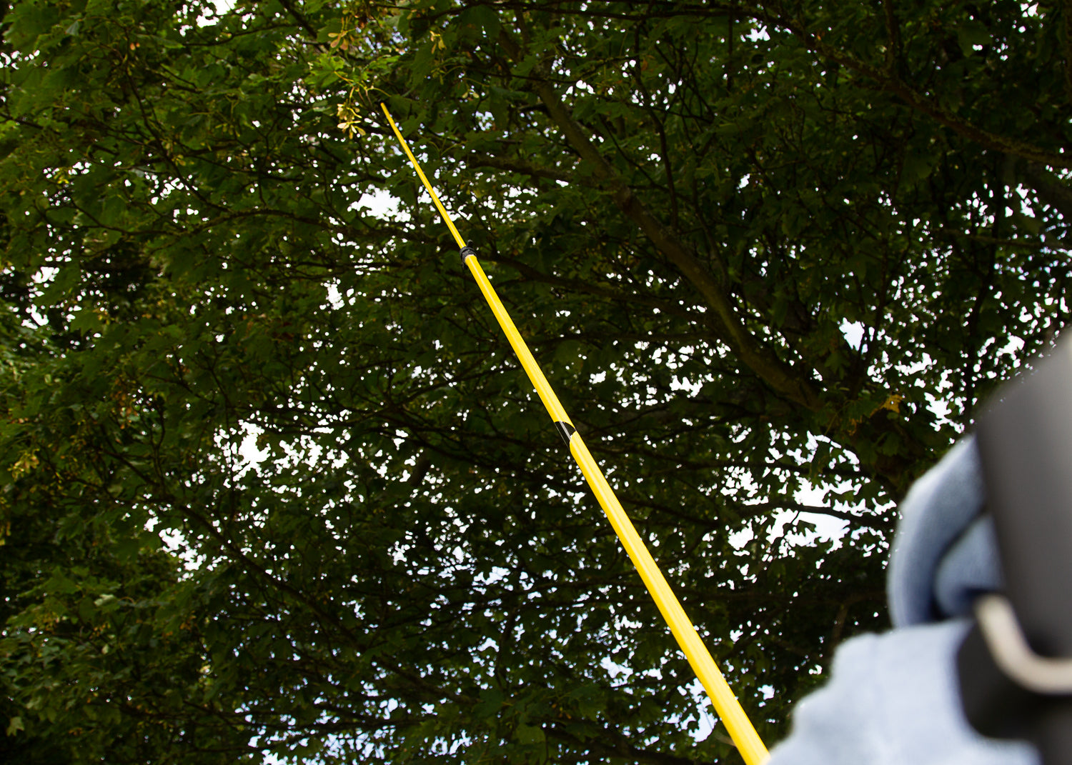 photo showing the 2.5 meter telescopic lance being used to spray into a tree