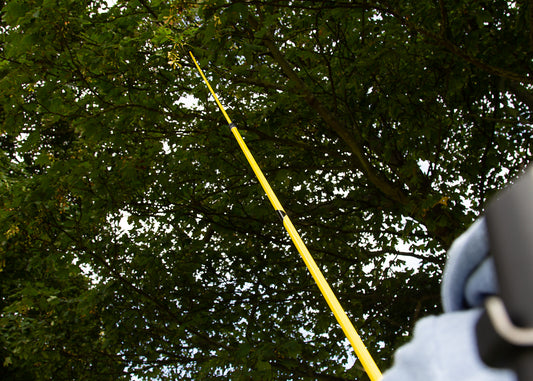 photo showing the 2.5 meter telescopic lance being used to spray into a tree