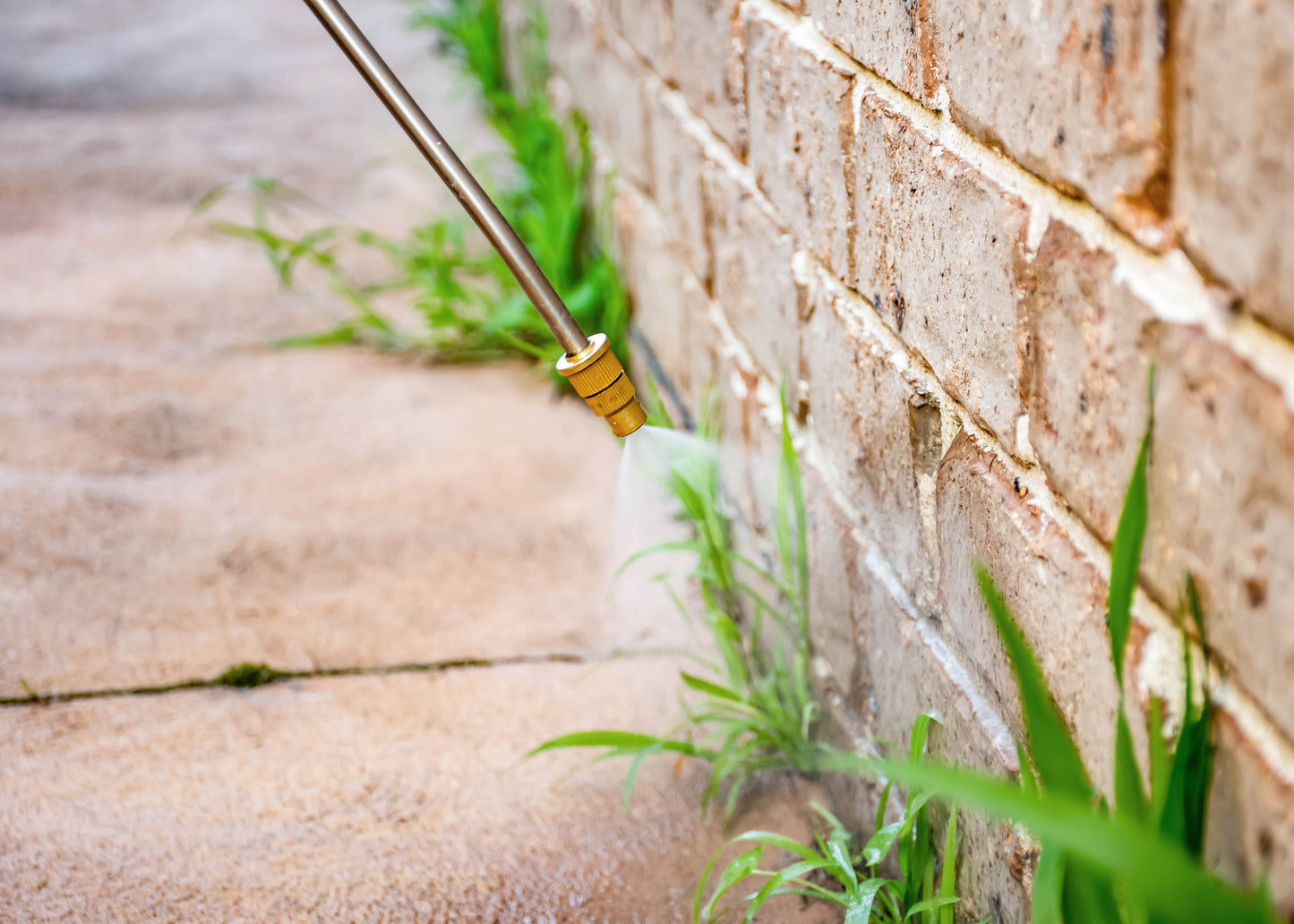 Brushwood Tough Weedkiller