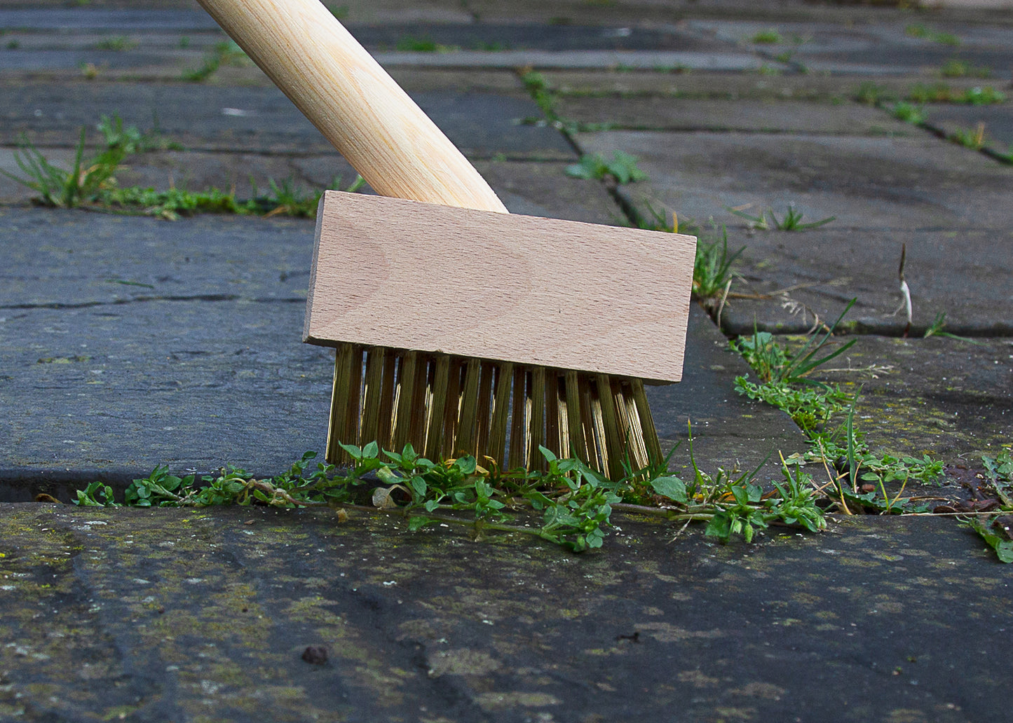 using our wire weed brush to clean a patio