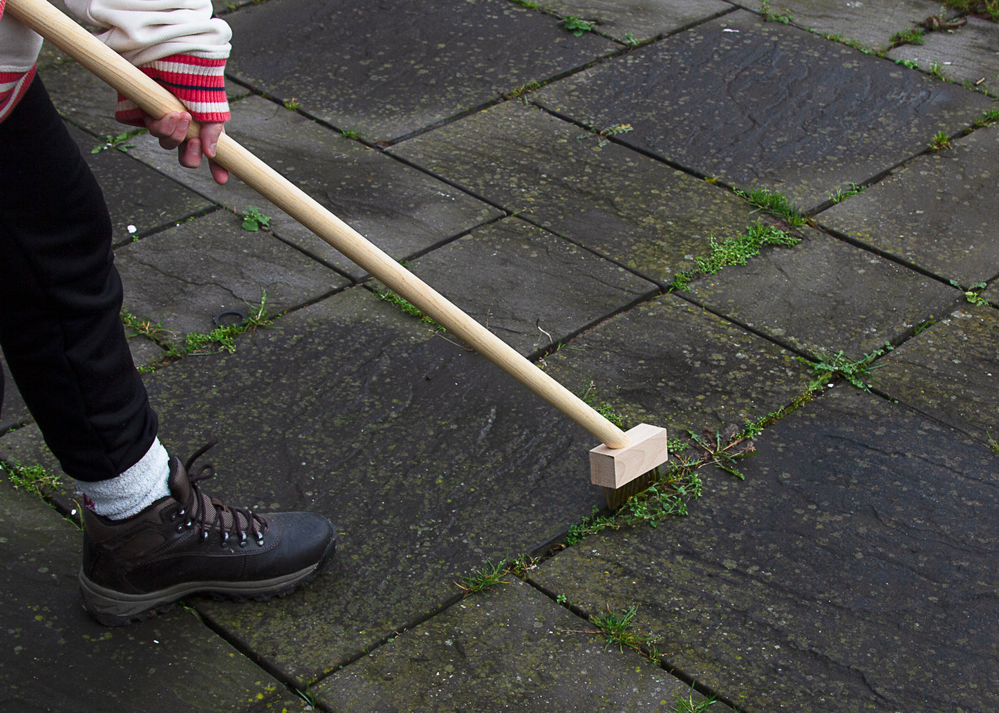 removing weeds from between patio slabs