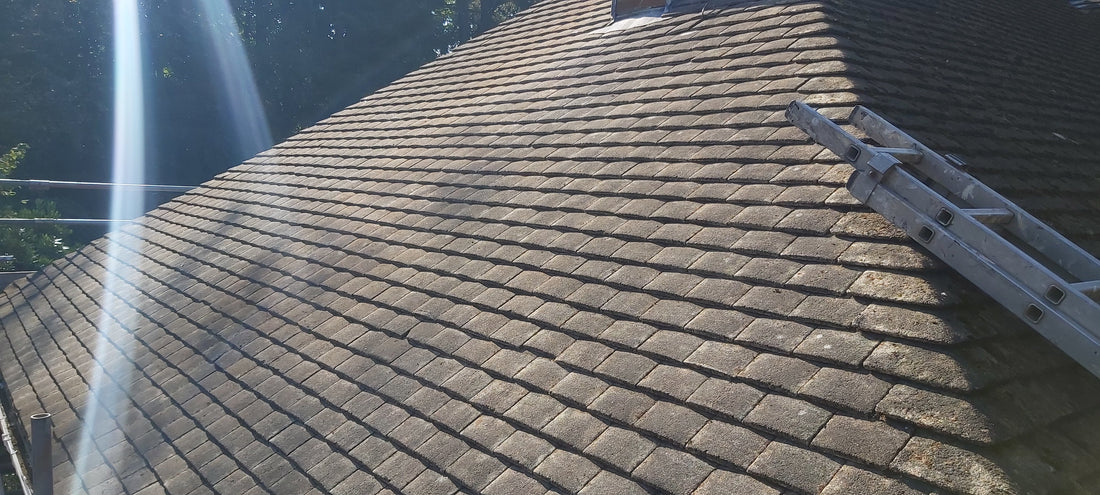 Roof Moss Removal Case Study