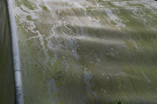 Swipe Polytunnel Cleaner