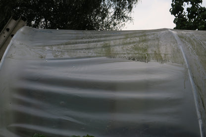 Swipe Polytunnel Cleaner