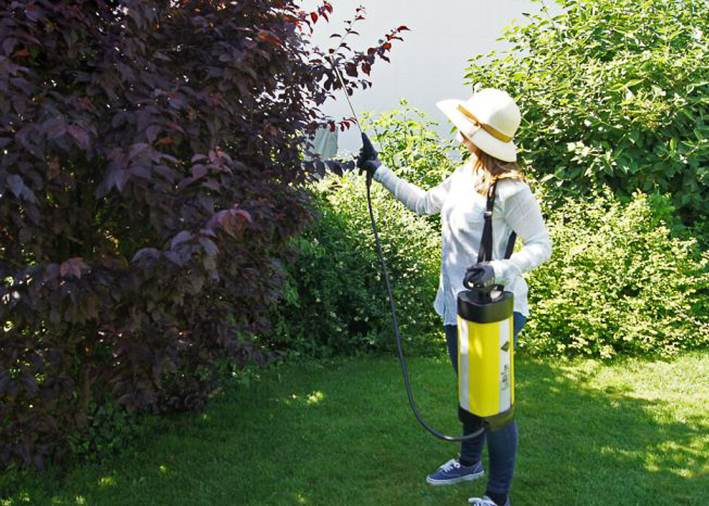 our 5 litre garden sprayer being used to spray a small tree