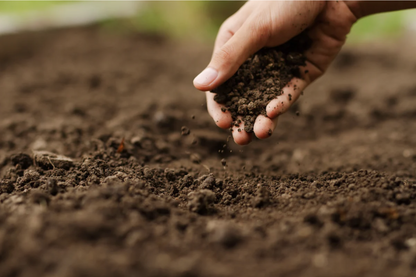Soil Boost