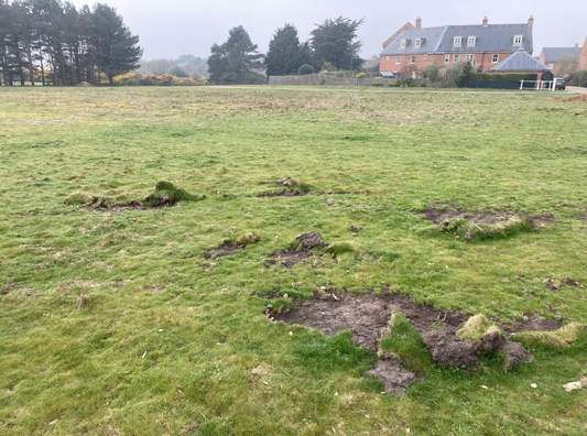 Lawn Grub Repair Boost
