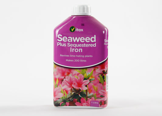 Seaweed & Iron