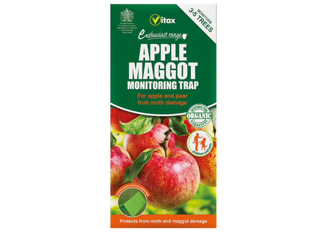 Apple Maggot Trap