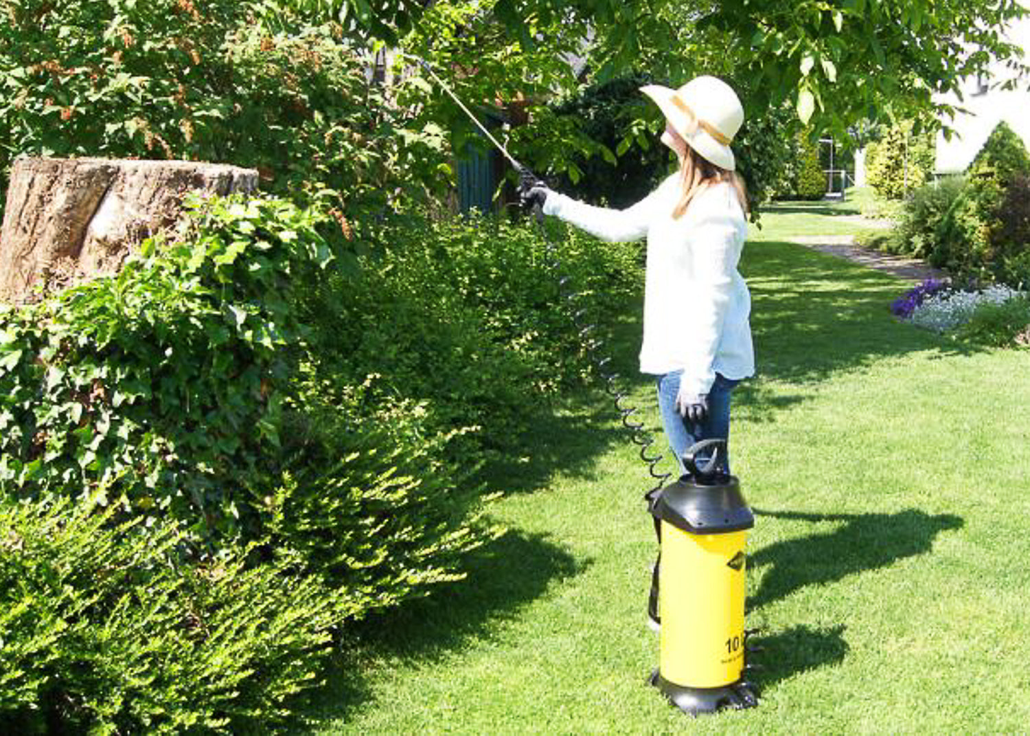 using our 10 litre compression sprayer to apply plant protection products to a tree